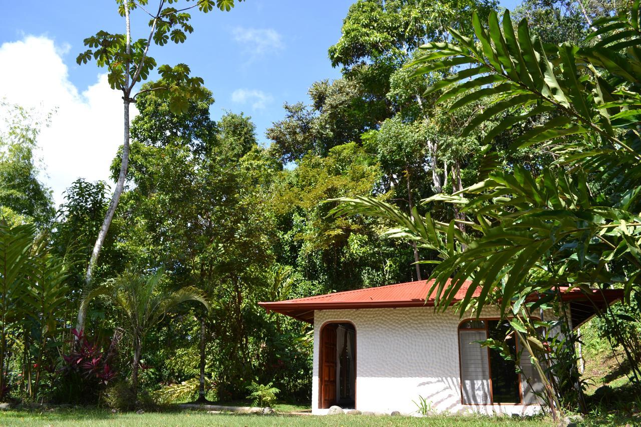 Natuga Ecolodge-Villas Dominical Baru Værelse billede