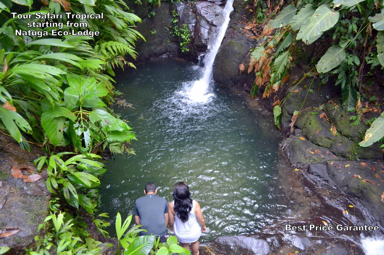 Natuga Ecolodge-Villas Dominical Baru Eksteriør billede