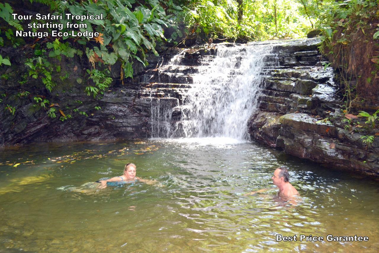 Natuga Ecolodge-Villas Dominical Baru Eksteriør billede